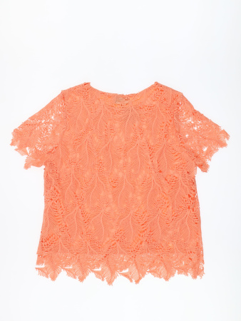 3493 (3) Alfredo Pauly